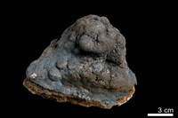 藏品(錳核)的圖片