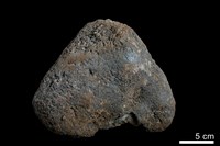 藏品(錳核)的圖片