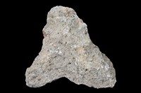 藏品(角閃石安山岩)的圖片