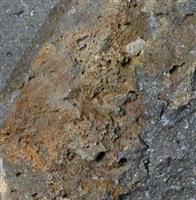 藏品(玄武岩)的圖片