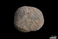 藏品(錳核)的圖片