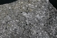 藏品(角閃石-黑雲母安山岩)的圖片