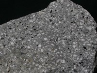 藏品(角閃石-黑雲母安山岩)的圖片