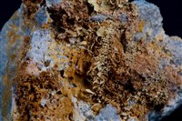 藏品(自然金)的圖片