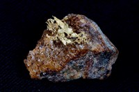 藏品(自然金)的圖片