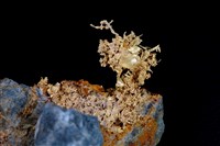 藏品(自然金)的圖片