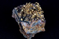 藏品(自然金)的圖片