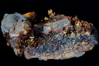 藏品(自然金)的圖片