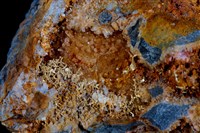 藏品(自然金)的圖片