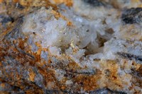 藏品(自然金)的圖片