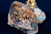 藏品(自然金)的圖片