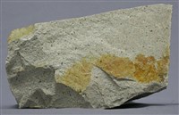 藏品(白崗岩)的圖片