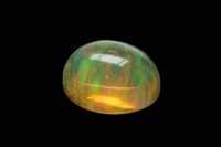 藏品(蛋白石)的圖片