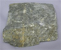 藏品(碎屑岩)的圖片