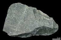 藏品(混合岩)的圖片