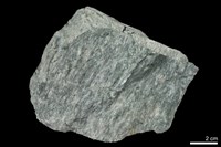 藏品(矽質片岩)的圖片