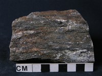 藏品(片麻岩或片岩)的圖片