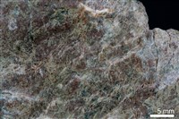 藏品(燧石)的圖片