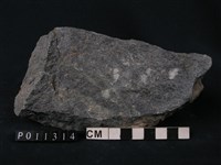 藏品(藍色片岩)的圖片