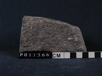 藏品(黑雲母片麻岩)的圖片