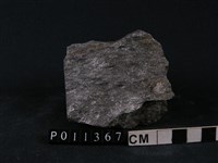 藏品(黑雲母片麻岩)的圖片