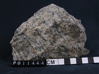 藏品(花崗片麻岩)的圖片