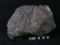 藏品(黑雲母斜長片麻岩)的圖片