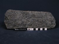 藏品(雲母斜長片岩)的圖片