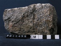 藏品(正片麻岩)的圖片