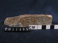 藏品(副片麻岩)的圖片