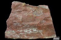 藏品(燧石)的圖片