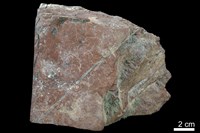 藏品(燧石)的圖片