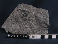 藏品(退變榴輝岩)的圖片