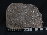 藏品(副片麻岩)的圖片