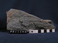 藏品(斜長角閃岩)的圖片