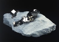 藏品(黃鐵礦)的圖片