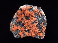 藏品(重晶石/方鉛礦)的圖片