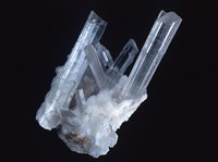 藏品(石膏)的圖片