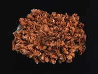 藏品(重晶石)的圖片