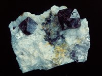 藏品(鋯石)的圖片