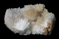 藏品(鉬鈣礦/中性針沸石)的圖片