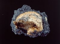 藏品(方解石)的圖片