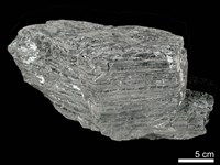 藏品(煤)的圖片