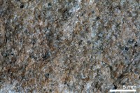 藏品(石英砂岩)的圖片