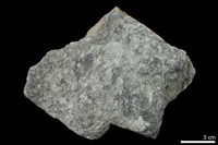 藏品(片岩)的圖片