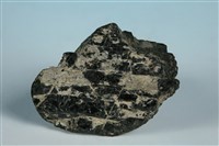 藏品(普通角閃石)的圖片