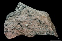 藏品(藍閃石片岩)的圖片