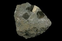 藏品(黃鐵礦)的圖片