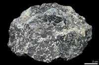 藏品(蛇紋岩)的圖片