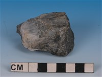 藏品(變質砂岩)的圖片